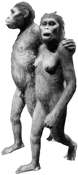 B06