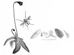 R011B06