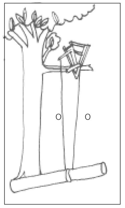 A07Figura102