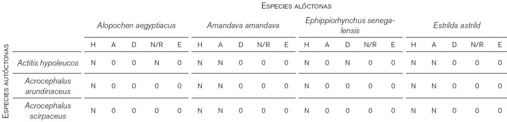 B03Cuadro1