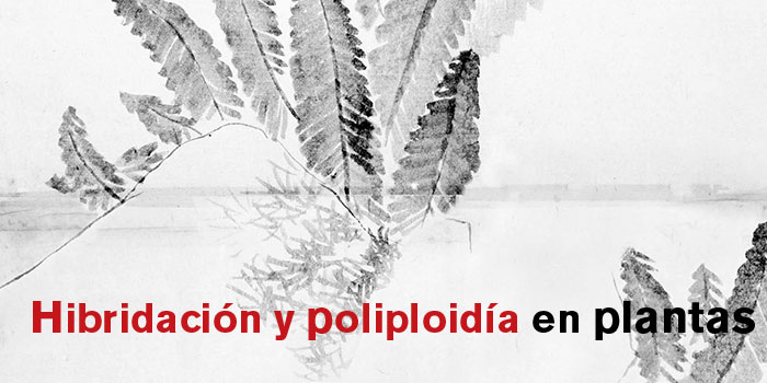 Entrada120A06