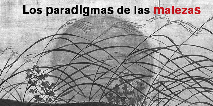 Entrada120A07