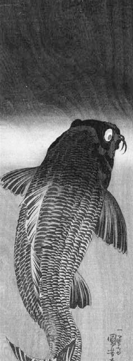 imago122 01