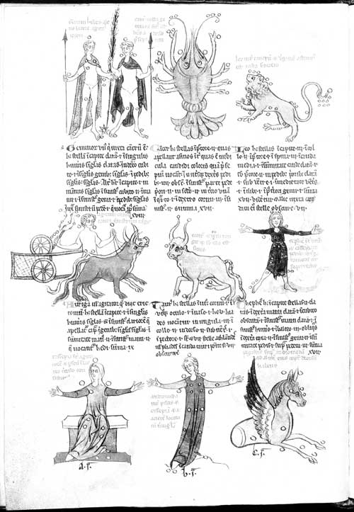 imago5