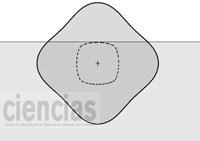 figura8A02