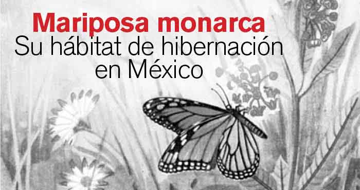 R15Articulo1