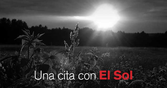 R26Articulo04