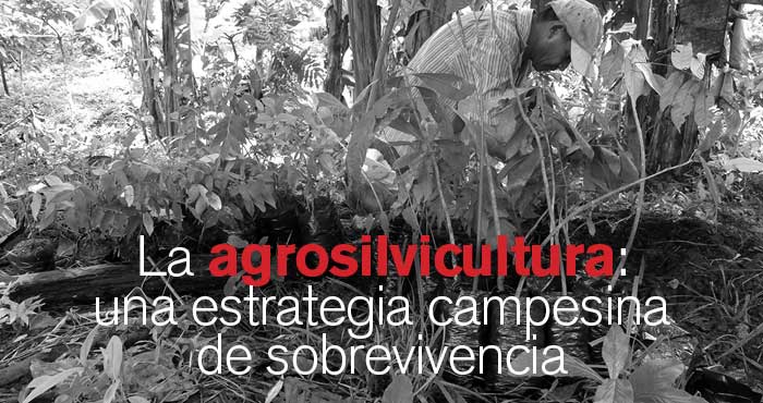 R26Articulo07