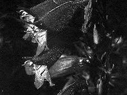 R042B07