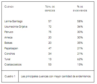 cuadro1