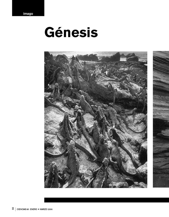 genesis1