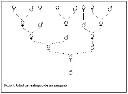 fig4