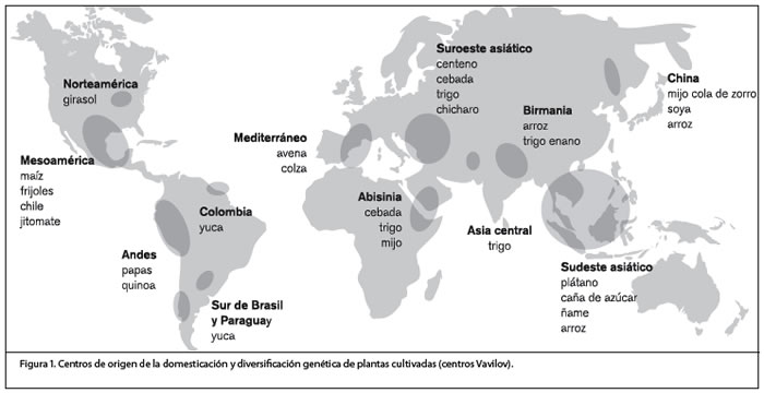 FIG1