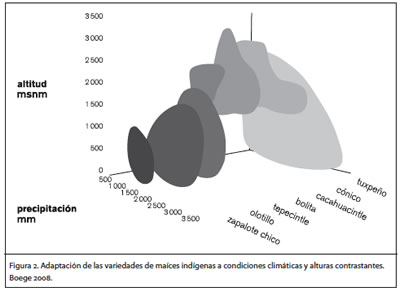FIG2