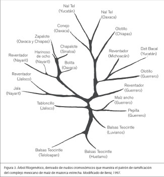 fig3