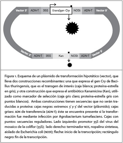FIG1