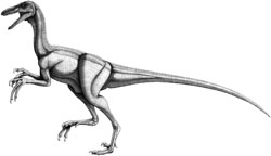 Aublysodon