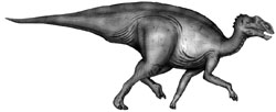 kritosaurus
